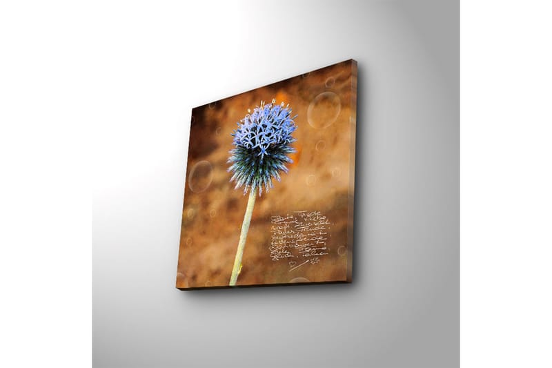 Canvas-taulu LED-valaistuksella 40x40 cm - Kukka sinisillä terälehdillä lämpimällä taustalla - Sininen / Ruskea - Sisustustuotteet - Taulu & taide - Canvas-taulu
