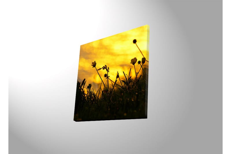 Canvas-taulu LED-valaistuksella 40x40 cm - Kukkien siluetti kultaista auringonlaskua vasten - Kulta / Musta - Sisustustuotteet - Taulu & taide - Canvas-taulu