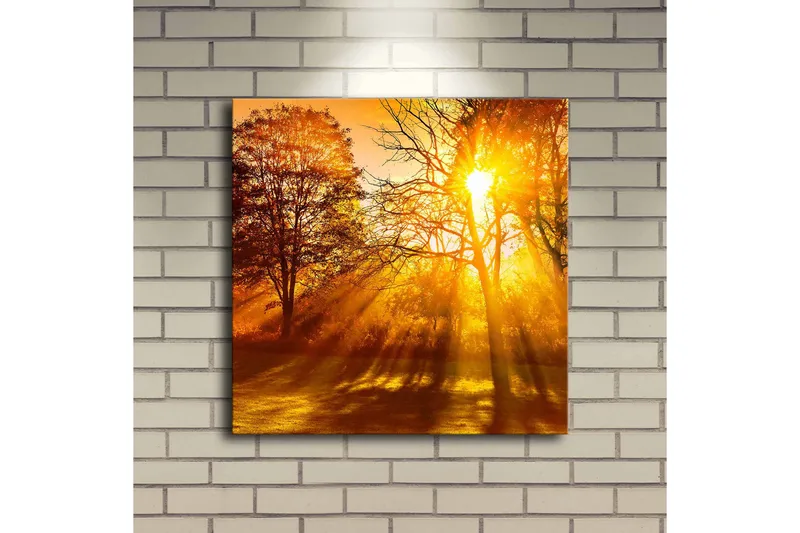Canvas-taulu LED-valaistuksella 40x40 cm - Kultainen syysmaisema auringonsäteiden loistavassa lumossa puiden välistä - Kulta / Oranssi / Ruskea - Sisustustuotteet - Taulu & taide - Canvas-taulu
