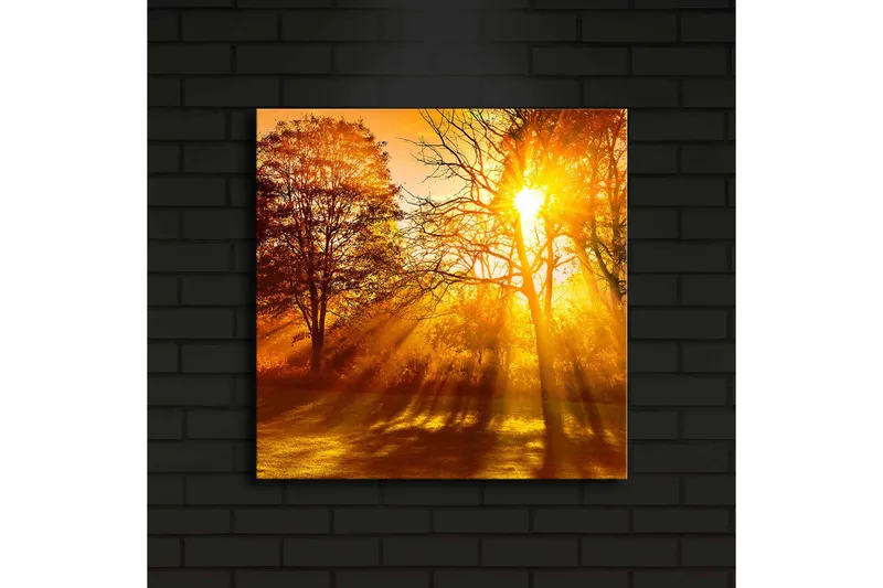 Canvas-taulu LED-valaistuksella 40x40 cm - Kultainen syysmaisema auringonsäteiden loistavassa lumossa puiden välistä - Kulta / Oranssi / Ruskea - Sisustustuotteet - Taulu & taide - Canvas-taulu