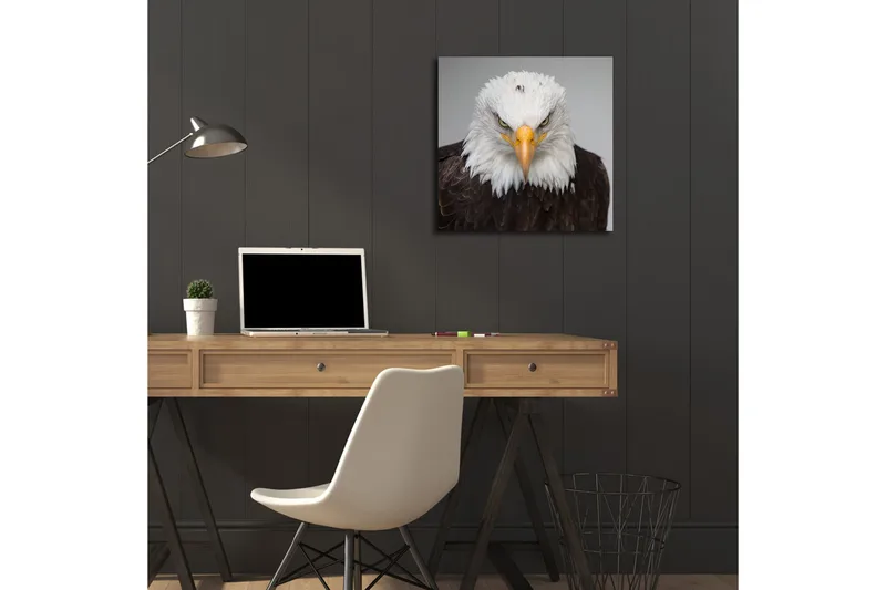 Canvas-taulu LED-valaistuksella 40x40 cm - Majesteettinen merikotka intensiivisellä katseella - Valkoinen / Ruskea / Oranssi - Sisustustuotteet - Taulu & taide - Canvas-taulu