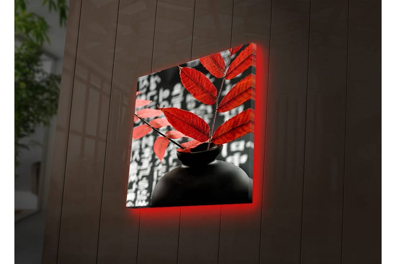 Canvas-taulu LED-valaistuksella 40x40 cm - Musta maljakko, jossa punaiset lehdet luovat kontrastin tummaa taustaa vasten - Punainen / Musta - Sisustustuotteet - Taulu & taide - Canvas-taulu