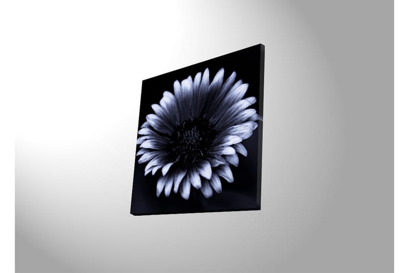 Canvas-taulu LED-valaistuksella 40x40 cm - mustavalkoinen kukka yksityiskohtaisilla terälehdillä - Musta / Valkoinen - Sisustustuotteet - Taulu & taide - Canvas-taulu