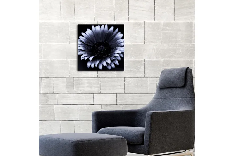 Canvas-taulu LED-valaistuksella 40x40 cm - mustavalkoinen kukka yksityiskohtaisilla terälehdillä - Musta / Valkoinen - Sisustustuotteet - Taulu & taide - Canvas-taulu