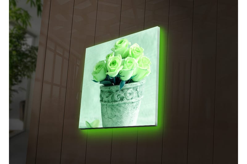 Canvas-taulu LED-valaistuksella 40x40 cm - Rehevät ruusut ruukussa, Vaaleanvihreä / Harmaa / Musta