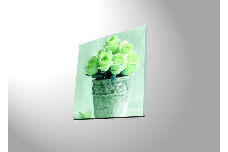 Canvas-taulu LED-valaistuksella 40x40 cm - Rehevät ruusut ruukussa - Vaaleanvihreä / Harmaa / Musta - Sisustustuotteet - Taulu & taide - Canvas-taulu