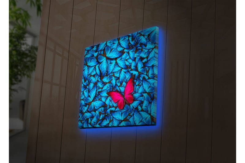 Canvas-taulu LED-valaistuksella 40x40 cm - Siniset valaistut perhoset taustalla ja vaaleanpunainen perhonen - Sininen / Vaaleanpunainen / Musta - Sisustustuotteet - Taulu & taide - Canvas-taulu