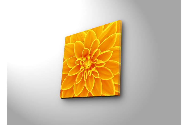 Canvas-taulu LED-valaistuksella 40x40 cm - Upea keltainen kukka - Keltainen / Oranssi - Sisustustuotteet - Taulu & taide - Canvas-taulu
