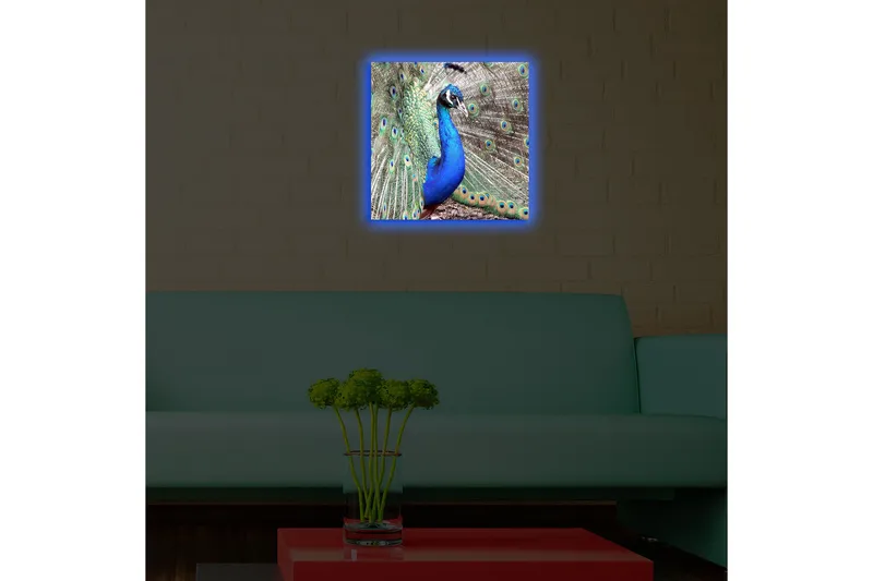 Canvas-taulu LED-valaistuksella 40x40 cm - Upea riikinkukko levitetyllä pyrstöhöyhenpeitteellä - Sininen / Vihreä / Ruskea - Sisustustuotteet - Taulu & taide - Canvas-taulu