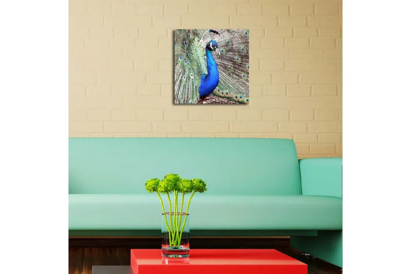 Canvas-taulu LED-valaistuksella 40x40 cm - Upea riikinkukko levitetyllä pyrstöhöyhenpeitteellä - Sininen / Vihreä / Ruskea - Sisustustuotteet - Taulu & taide - Canvas-taulu