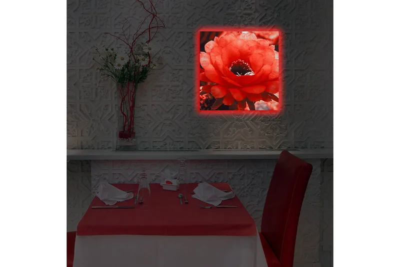 Canvas-taulu LED-valaistuksella 40x40 cm - Upea punainen kaktuskukka täydessä kukassa - Punainen / Harmaa - Sisustustuotteet - Taulu & taide - Canvas-taulu