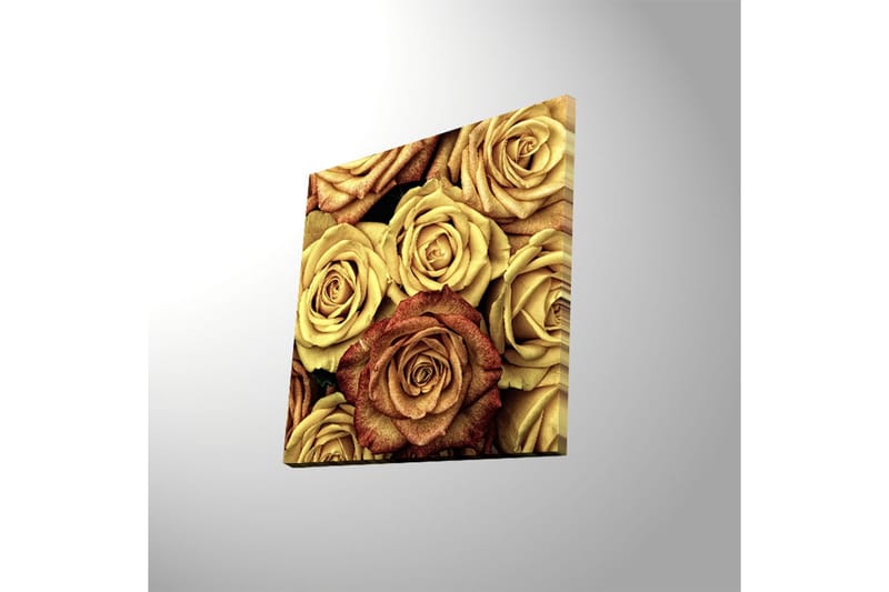 Canvas-taulu LED-valaistuksella 40x40 cm - Värikäs kokoelma ruusuja eri sävyissä - Kulta / Ruskea / Punainen - Sisustustuotteet - Taulu & taide - Canvas-taulu