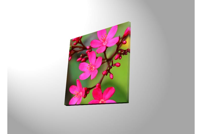 Canvas-taulu LED-valaistuksella 40x40 cm - Värikäs kukkakimppu - Vaaleanpunainen / Vihreä / Vaaleanvihreä - Sisustustuotteet - Taulu & taide - Canvas-taulu