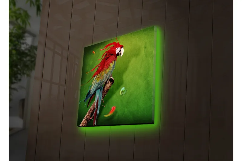 Canvas-taulu LED-valaistuksella 40x40 cm - Värikäs papukaija vihreällä taustalla, Vihreä / Punainen / Sininen