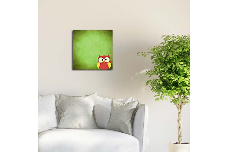 Canvas-taulu LED-valaistuksella 40x40 cm - Värikäs pöllö vihreällä taustalla - Vihreä / Punainen / Keltainen - Sisustustuotteet - Taulu & taide - Canvas-taulu