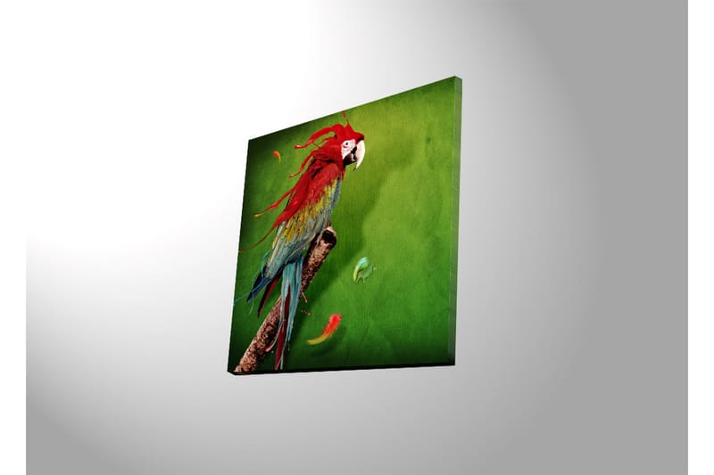 Canvas-taulu LED-valaistuksella 40x40 cm - Värikäs papukaija vihreällä taustalla - Vihreä / Punainen / Sininen - Sisustustuotteet - Taulu & taide - Canvas-taulu