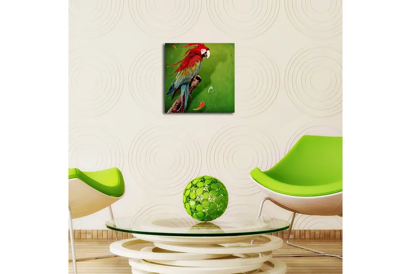 Canvas-taulu LED-valaistuksella 40x40 cm - Värikäs papukaija vihreällä taustalla - Vihreä / Punainen / Sininen - Sisustustuotteet - Taulu & taide - Canvas-taulu