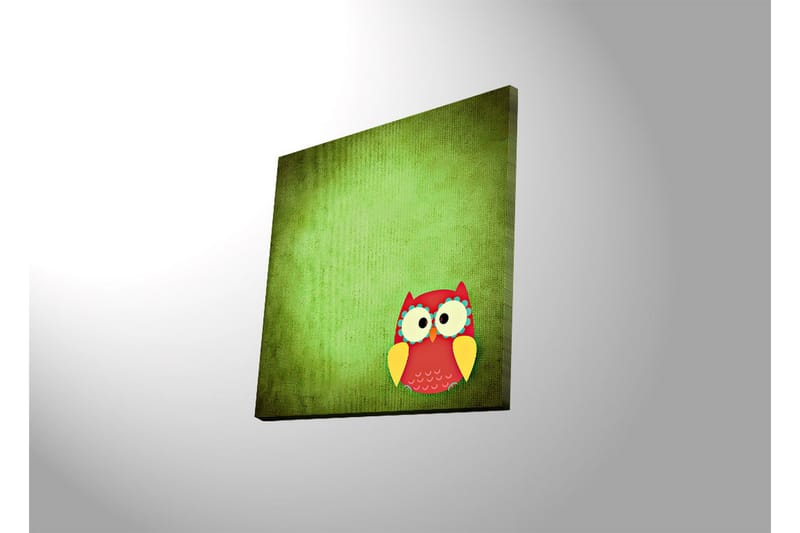 Canvas-taulu LED-valaistuksella 40x40 cm - Värikäs pöllö vihreällä taustalla - Vihreä / Punainen / Keltainen - Sisustustuotteet - Taulu & taide - Canvas-taulu