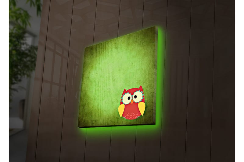 Canvas-taulu LED-valaistuksella 40x40 cm - Värikäs pöllö vihreällä taustalla, Vihreä / Punainen / Keltainen