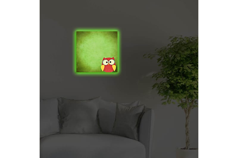 Canvas-taulu LED-valaistuksella 40x40 cm - Värikäs pöllö vihreällä taustalla - Vihreä / Punainen / Keltainen - Sisustustuotteet - Taulu & taide - Canvas-taulu