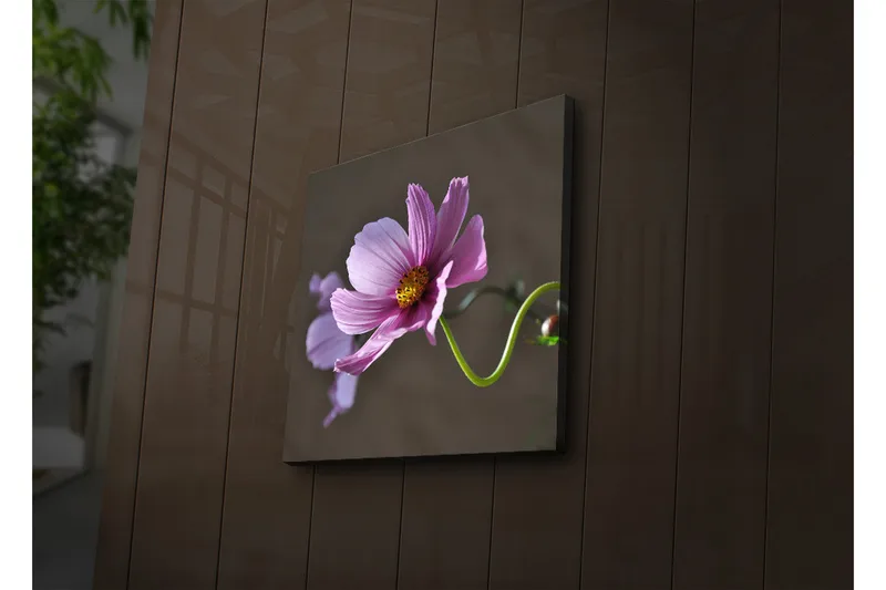 Canvas-taulu LED-valaistuksella 40x40 cm - Vaaleanpunaiset kukat vihreällä varrella, Vaaleanpunainen / Vihreä