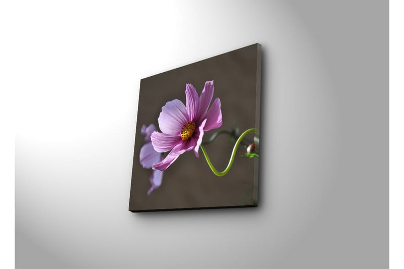 Canvas-taulu LED-valaistuksella 40x40 cm - Vaaleanpunaiset kukat vihreällä varrella - Vaaleanpunainen / Vihreä - Sisustustuotteet - Taulu & taide - Canvas-taulu