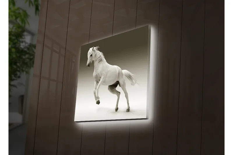 Canvas-taulu LED-valaistuksella 40x40 cm - Valkoinen hevonen liikkeessä - Valkoinen / Harmaa - Sisustustuotteet - Taulu & taide - Canvas-taulu
