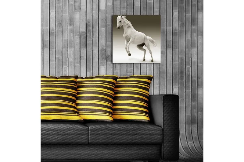 Canvas-taulu LED-valaistuksella 40x40 cm - Valkoinen hevonen liikkeessä - Valkoinen / Harmaa - Sisustustuotteet - Taulu & taide - Canvas-taulu