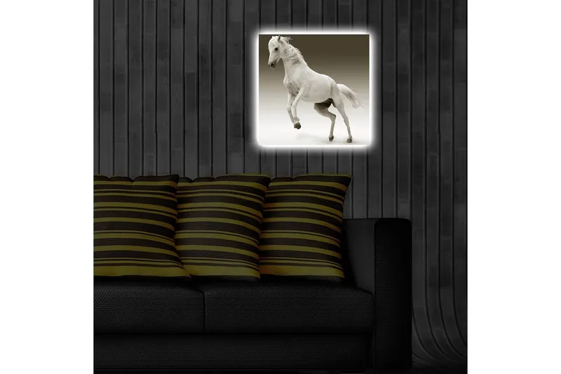 Canvas-taulu LED-valaistuksella 40x40 cm - Valkoinen hevonen liikkeessä - Valkoinen / Harmaa - Sisustustuotteet - Taulu & taide - Canvas-taulu