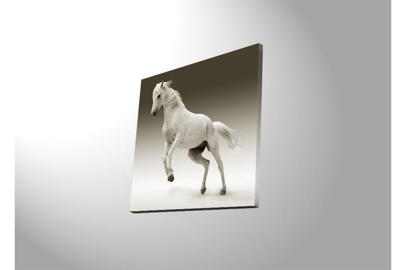 Canvas-taulu LED-valaistuksella 40x40 cm - Valkoinen hevonen liikkeessä - Valkoinen / Harmaa - Sisustustuotteet - Taulu & taide - Canvas-taulu