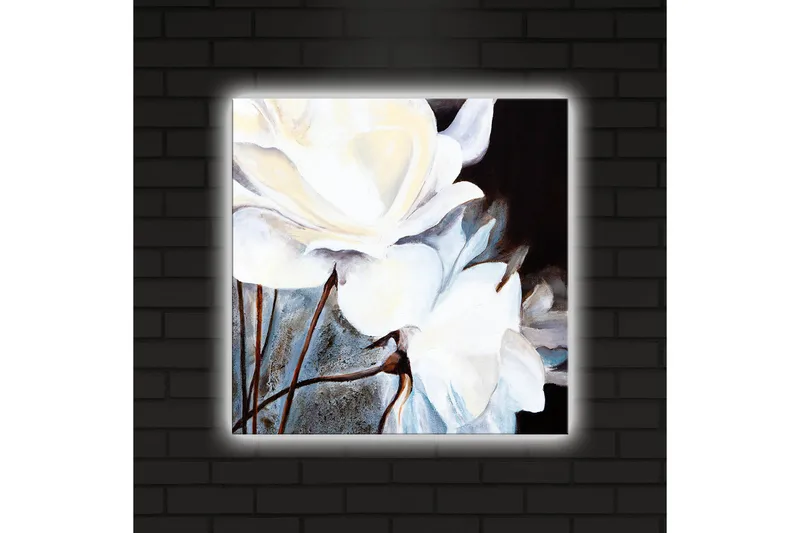 Canvas-taulu LED-valaistuksella 40x40 cm - Valkoisia kukkia tummaa taustaa vasten - Valkoinen / Musta / Harmaa - Sisustustuotteet - Taulu & taide - Canvas-taulu