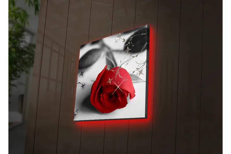 Canvas-taulu LED-valaistuksella 40x40 cm - Punainen ruusu mustilla ja harmailla elementeillä, Punainen / Musta / Harmaa