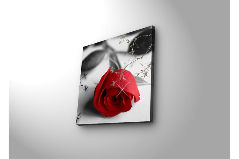 Canvas-taulu LED-valaistuksella 40x40 cm - Punainen ruusu mustilla ja harmailla elementeillä - Punainen / Musta / Harmaa - Sisustustuotteet - Taulu & taide - Canvas-taulu