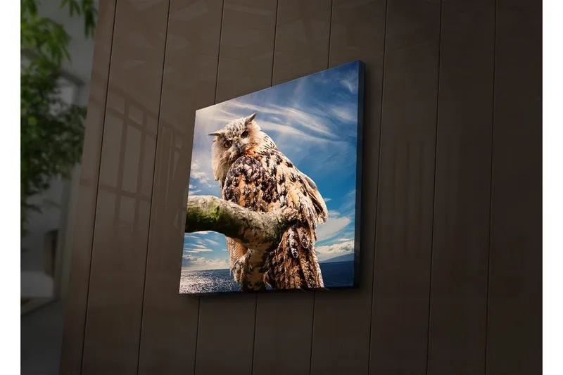 Canvas-taulu LED-valaistuksella 40x40 cm - Pöllö oksalla dramaattisen taivaan taustalla, Ruskea / Sininen / Valkoinen