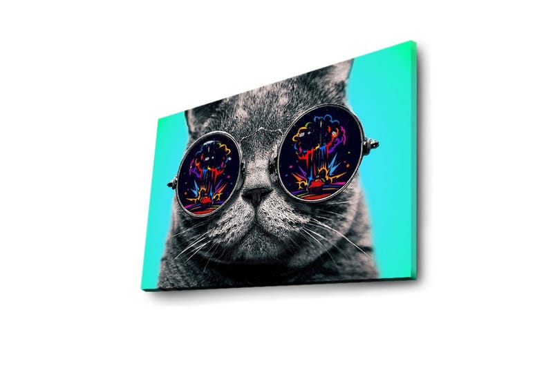 Canvas-taulu LED-valaistuksella 45x70 cm - Harmaa kissa aurinkolaseissa, jotka heijastavat värikkäitä räjähdyksiä - Harmaa / Musta / Turkoosi - Sisustustuotteet - Taulu & taide - Canvas-taulu
