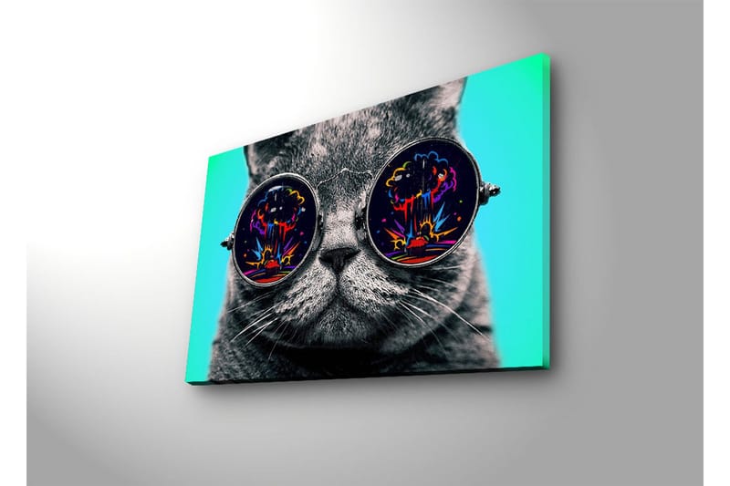 Canvas-taulu LED-valaistuksella 45x70 cm - Harmaa kissa aurinkolaseissa, jotka heijastavat värikkäitä räjähdyksiä - Harmaa / Musta / Turkoosi - Sisustustuotteet - Taulu & taide - Canvas-taulu