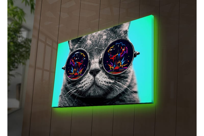 Canvas-taulu LED-valaistuksella 45x70 cm - Harmaa kissa aurinkolaseissa, jotka heijastavat värikkäitä räjähdyksiä - Harmaa / Musta / Turkoosi - Sisustustuotteet - Taulu & taide - Canvas-taulu