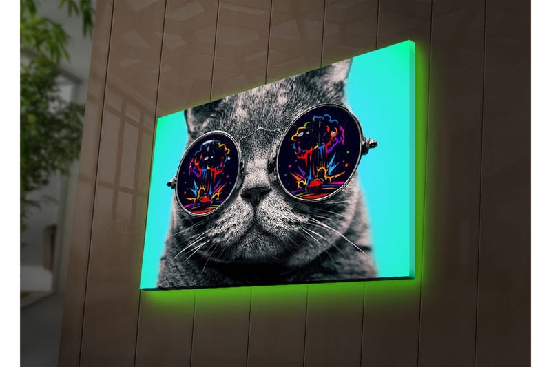 Canvas-taulu LED-valaistuksella 45x70 cm - Harmaa kissa aurinkolaseissa, jotka heijastavat värikkäitä räjähdyksiä - Harmaa / Musta / Turkoosi - Sisustustuotteet - Taulu & taide - Canvas-taulu