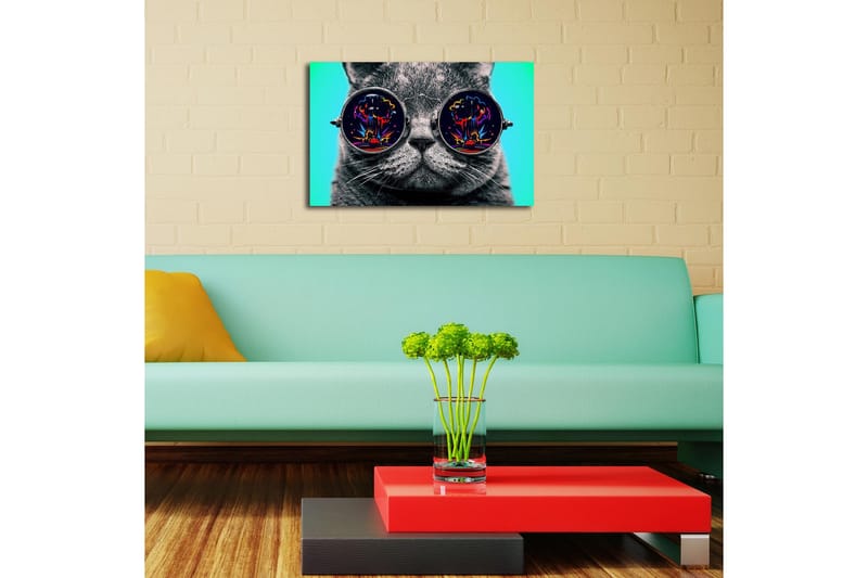 Canvas-taulu LED-valaistuksella 45x70 cm - Harmaa kissa aurinkolaseissa, jotka heijastavat värikkäitä räjähdyksiä - Harmaa / Musta / Turkoosi - Sisustustuotteet - Taulu & taide - Canvas-taulu