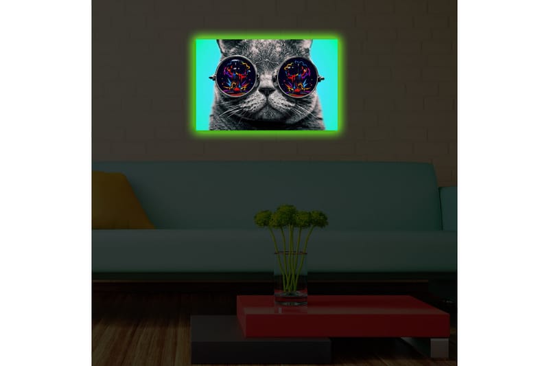 Canvas-taulu LED-valaistuksella 45x70 cm - Harmaa kissa aurinkolaseissa, jotka heijastavat värikkäitä räjähdyksiä - Harmaa / Musta / Turkoosi - Sisustustuotteet - Taulu & taide - Canvas-taulu
