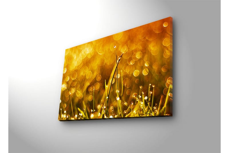 Canvas-taulu LED-valaistuksella 45x70 cm - Kimaltelevaa ruohoa ja kastepisaroita kultaisessa valossa - Kulta / Vihreä - Sisustustuotteet - Taulu & taide - Canvas-taulu
