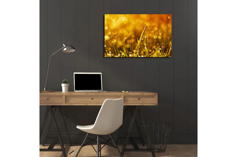 Canvas-taulu LED-valaistuksella 45x70 cm - Kimaltelevaa ruohoa ja kastepisaroita kultaisessa valossa - Kulta / Vihreä - Sisustustuotteet - Taulu & taide - Canvas-taulu