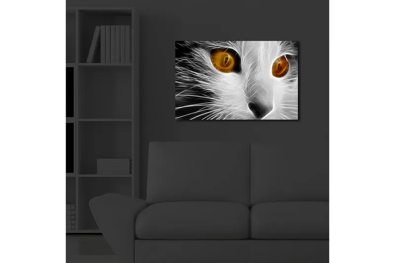 Canvas-taulu LED-valaistuksella 45x70 cm - Kissan naama intensiivisillä silmillä - Valkoinen / Musta / Oranssi - Sisustustuotteet - Taulu & taide - Canvas-taulu
