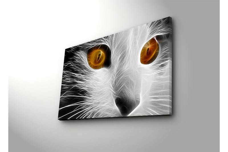 Canvas-taulu LED-valaistuksella 45x70 cm - Kissan naama intensiivisillä silmillä - Valkoinen / Musta / Oranssi - Sisustustuotteet - Taulu & taide - Canvas-taulu