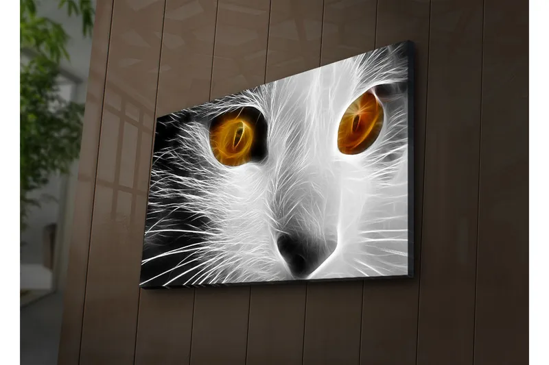 Canvas-taulu LED-valaistuksella 45x70 cm - Kissan naama intensiivisillä silmillä, Valkoinen / Musta / Oranssi