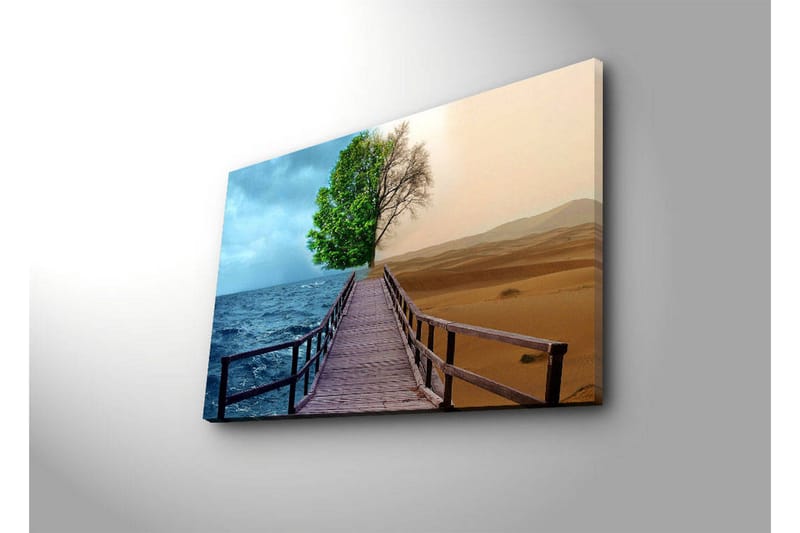 Canvas-taulu LED-valaistuksella 45x70 cm - Kontrasti rehevän puuston ja aavikkomaiseman välillä - Vihreä / Sininen / Beige - Sisustustuotteet - Taulu & taide - Canvas-taulu