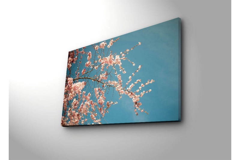 Canvas-taulu LED-valaistuksella 45x70 cm - Kukkivia kirsikanoksia kirkasta sinistä taivasta vasten - Vaaleanpunainen / Sininen - Sisustustuotteet - Taulu & taide - Canvas-taulu