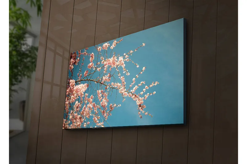 Canvas-taulu LED-valaistuksella 45x70 cm - Kukkivia kirsikanoksia kirkasta sinistä taivasta vasten, Vaaleanpunainen / Sininen