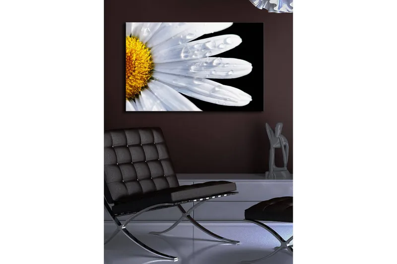 Canvas-taulu LED-valaistuksella 45x70 cm - Lähikuva päivänkakkarasta, jonka lehdillä on vesipisaroita - Valkoinen / Keltainen - Sisustustuotteet - Taulu & taide - Canvas-taulu