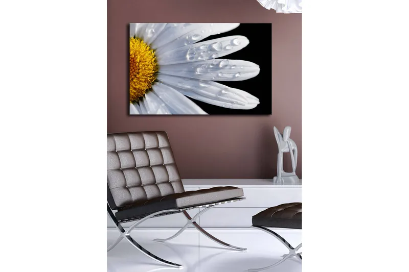 Canvas-taulu LED-valaistuksella 45x70 cm - Lähikuva päivänkakkarasta, jonka lehdillä on vesipisaroita - Valkoinen / Keltainen - Sisustustuotteet - Taulu & taide - Canvas-taulu